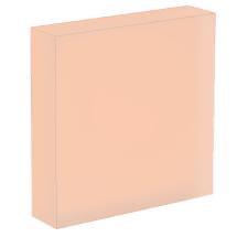coral r11